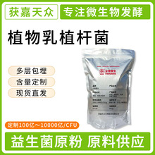 ֲ����ֲ�U��10000�|/������������������ɷ�ԭ�۰l�͏S��