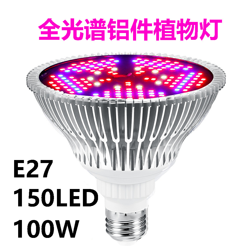 150 구슬-100W