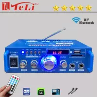 Новые трансграничные европейские правила 12V220V встроенный Автомобильный домашний усилитель BLUETOOTH для карт