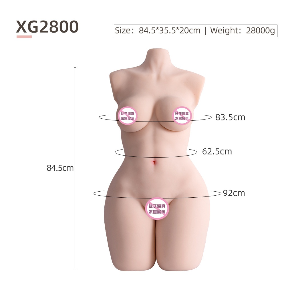 가슴이 있는 반신 금형 28kg