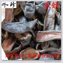 千珍中药材原料批发 水蛭大条 吊干清水不加重  支持检验