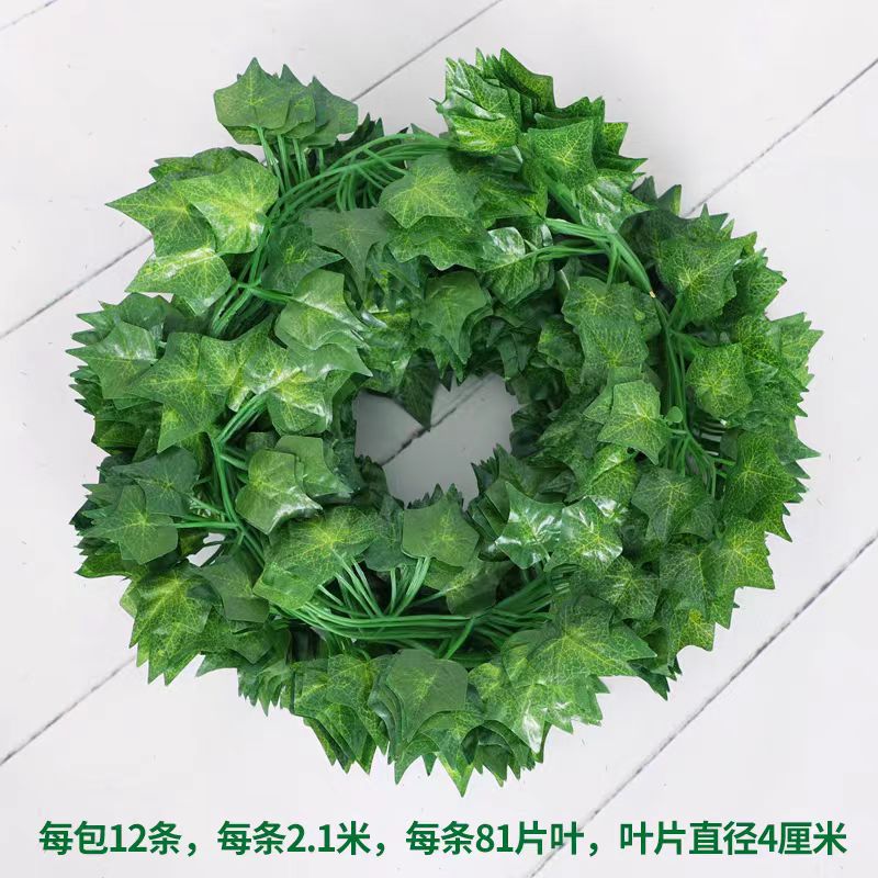 爬山虎81