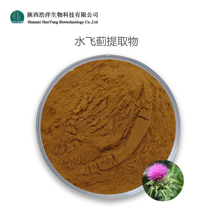 奶蓟草提取物 水飞蓟提取物 多含量 另有水飞蓟素 厂家现货直供