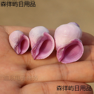 �Ͽ�ɺ������ȻС��ؐ��ϡ���ղ��~���b����ݼľ�з��Q��