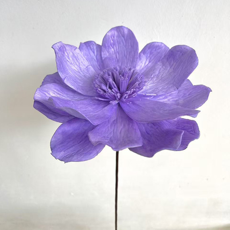 Lirio grande de hierba púrpura clara de 15 - 16 cm de diámetro y 60 cm de largo