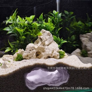 Aquarium Decor ˮ���^�b[ʯ������Ѩ��Ȼ�����[���~���쾰