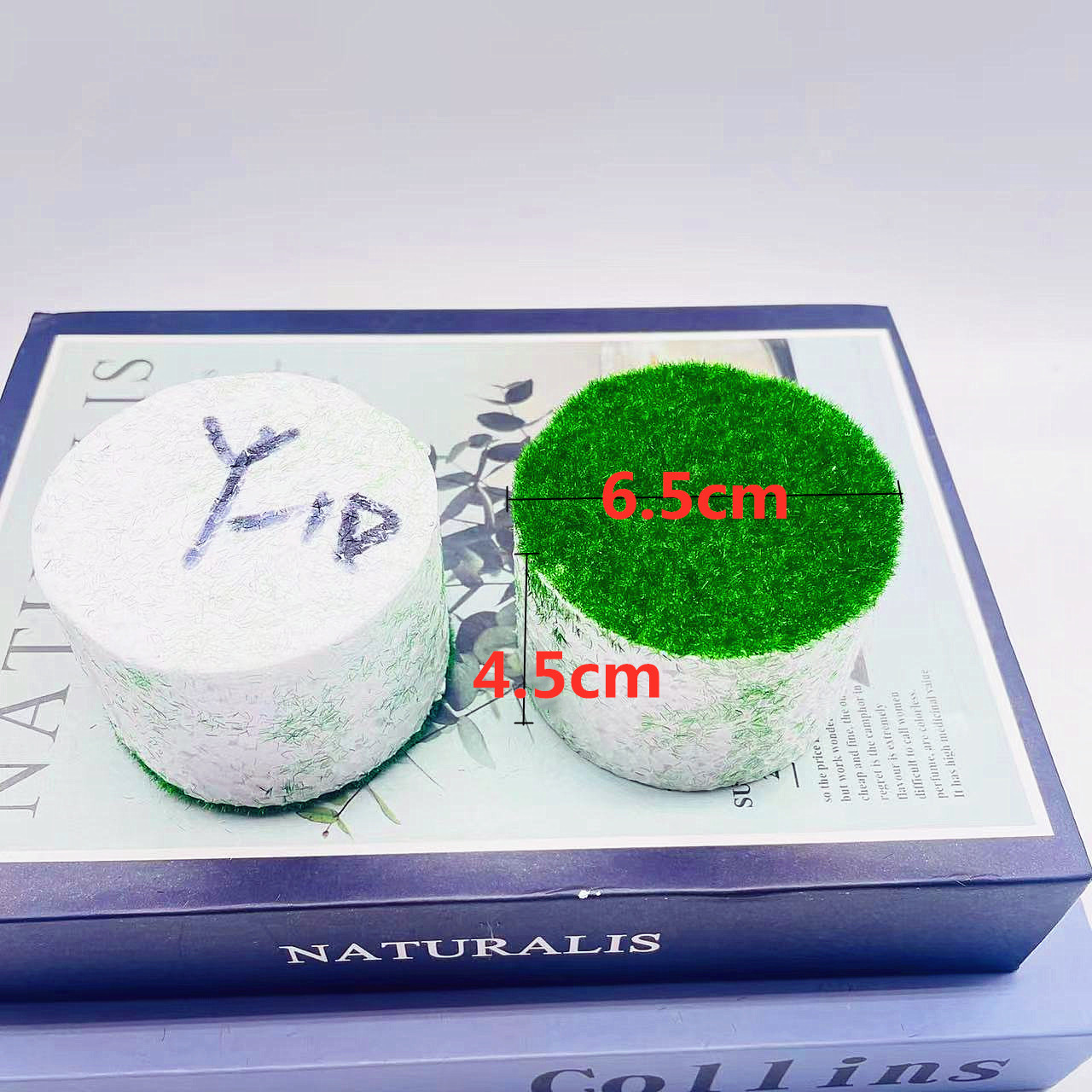 微信图片_20230504195735_副本