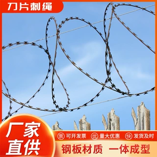 刺绳围网圈地养殖刺铁丝网外墙防护不锈钢刺绳镀锌刺丝网刺丝滚笼