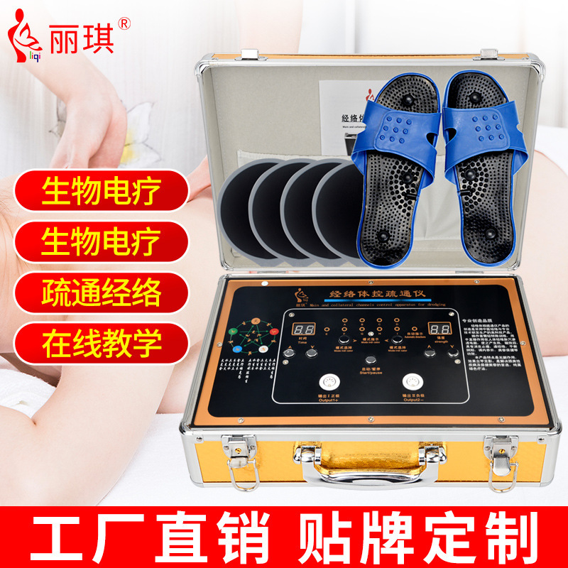 Household Meridian dredging beauty health electrotherapy instrument energy meter electric scraping dds bio-electric massager repair