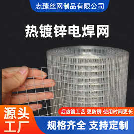 后热镀养殖防护网畜牧围栏防鼠防蛇不锈钢电焊网片圈地网铁丝网