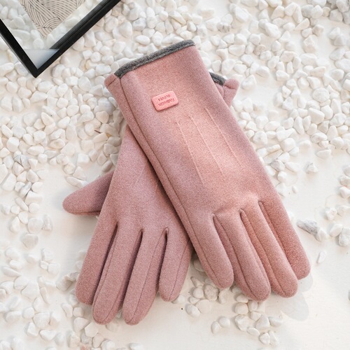 Winter/Spring Anti-Cold Fleece Windproof Touch Screen Sports Warm Gloves for Men and Women Electric Vehicle Riding Gloves