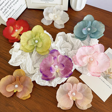 ���ĳ��ɺ����m�l�AŮɭϵ��߅����A�����A�l���Շ��л���l�