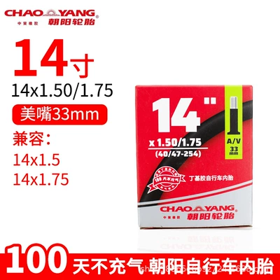 Chaoyang Bicycle Elektrikli avtomobil şinləri