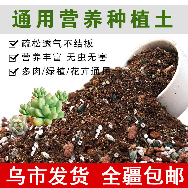 多肉专用颗粒土混合土铺面石泥炭土植物营养土小苗通用型播种土