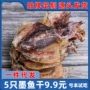 东海大号淡水乌贼干