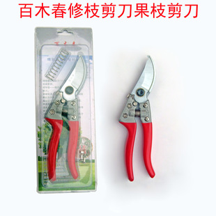 ��ľ������֦���� �@����֦�����l���@��ˇ��֦��֦�@ˇժ����֦