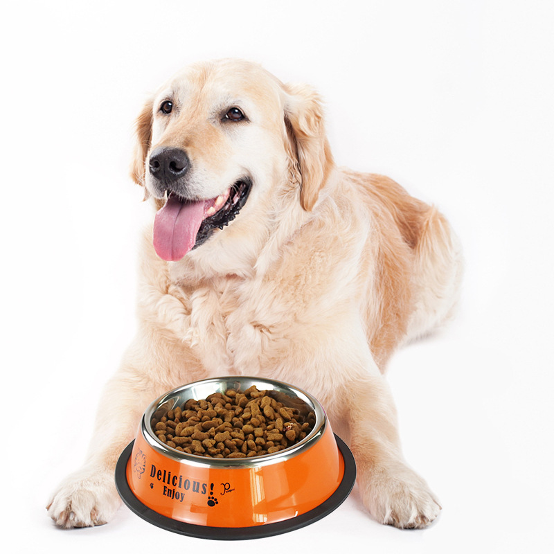 Suministro directo de fábrica de dibujos animados de acero inoxidable Pet Bowl antidetonante perro tazón de comida agua potable alimentación gato tazón de comida para mascotas tazón