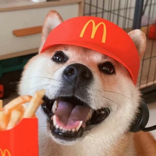 ����������ñ�ӌ���v�C�b��؈��tɫ���ñ����ë���������b