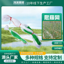 爬藤网植物山药黄瓜豇豆苦瓜豆角丝瓜吊瓜百香果攀爬网农用种植网