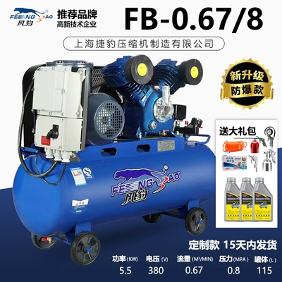 Wind Leopard Explosion-Proof Air Compressor Hava kompressorları - copper-0678-explosion-proof-motor-model-shipped-within-15-days
