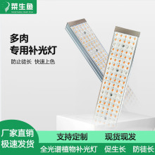 多肉植物补光灯加宽室内防止植物徒长仿太阳光植物生长灯上色专用