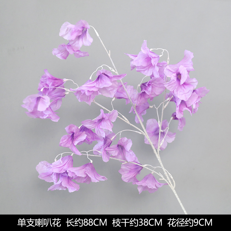 única flor de trombeta