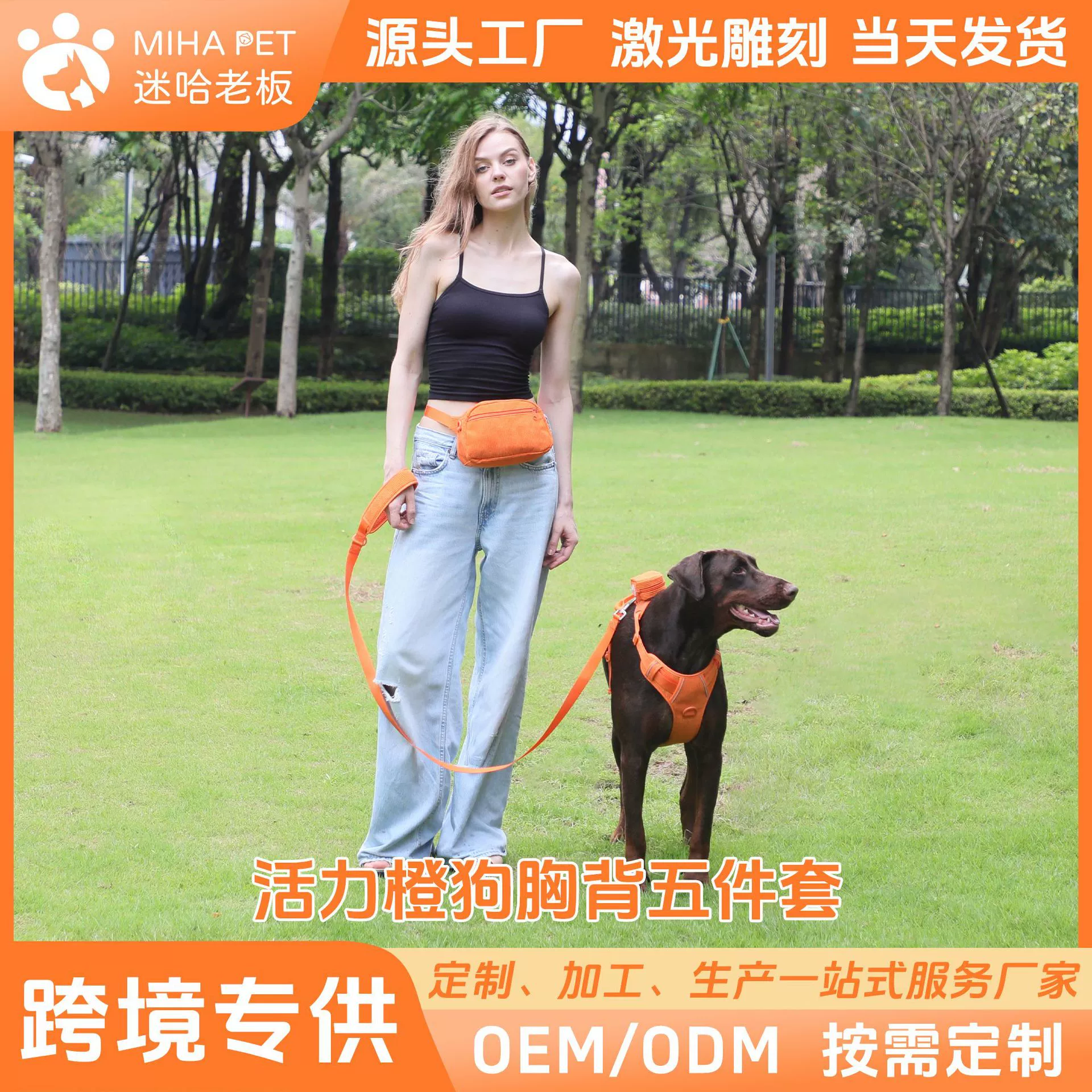 Новая Мода Собака нагрудный ремень Лазерная надпись удобный дышащий ошейник для домашних животных поводок собака прогулочная сумка костюм
