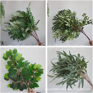 ����Gֲɭϵ��Y���Ż����滨�׾Gɫ��c�F�����üٻ���픻��Gɫ