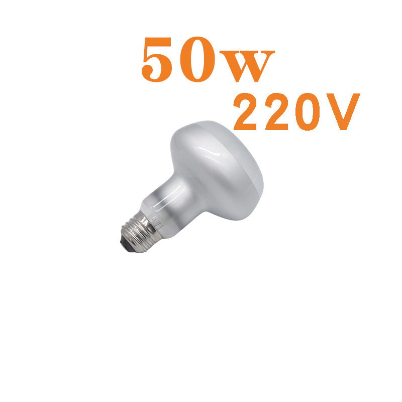 R80 사막 태양 램프 220V 50w