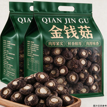 古田特产金钱菇干货源头批发肉厚小香菇农家晾晒菌菇炖肉煲汤家用