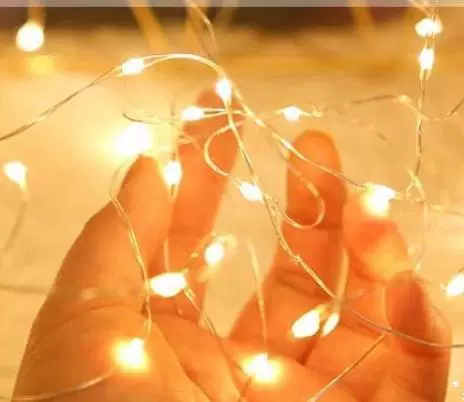 Net red warm color lamp string 1