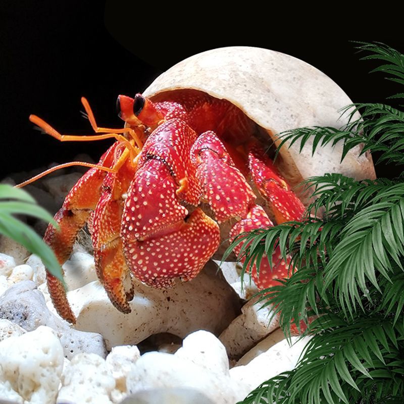 e7e0f65d-be22-400b-83ac-3e63a01e2ee2.jpe