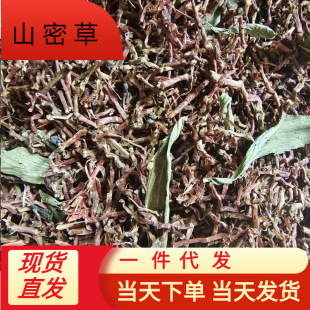 ɽ�ܲݲ蹣���~�ٻ����_�h������ζ��ѩɽ�S�����B����