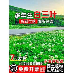 �����~�ݷN�Ѷ������o�¹�������߅�µ�·���̾G���ͺ��t���~�N��