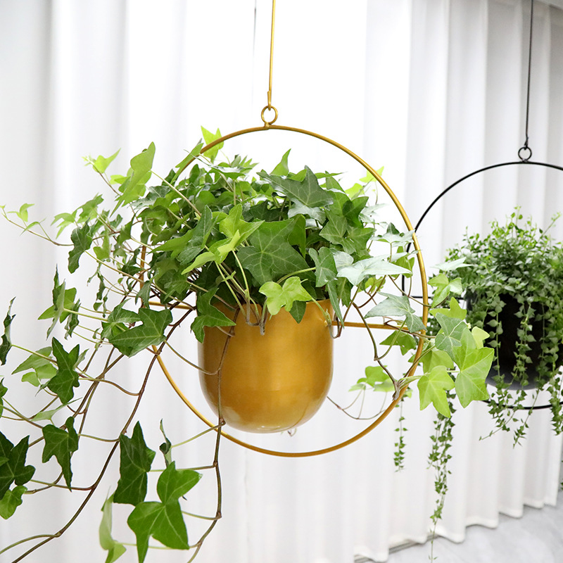 Transfronterizo simple y creativo moderno colgar hierro forjado balcón colgar planta suculenta decoración colgante cesto maceta