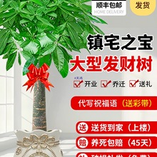 lؔ͏d҃ȴ;GֲغBլk҆w_IͶY