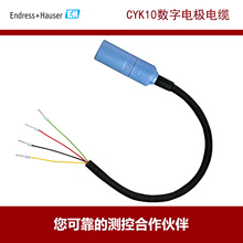 E+H����˹��˹ ����늘O��| CYK10 ����ʽ, 3��, �Ƿ���