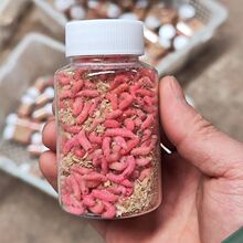 �t���x�r�����l���w��ʯ���~�r�����x�a�~Ұួ^�����b�D�ϼt��