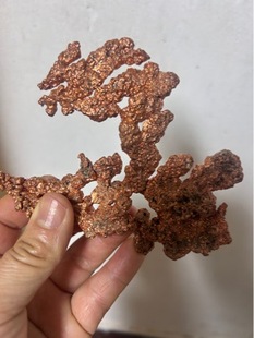 ��Ȼ�~�V�ﾧ�w�̌W�˱���ʯ�^�[���ղ�Ʒ�^�pʯ 200��/��