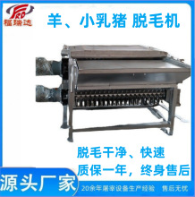 ɽÓëC  dëC  ƤëC ӌÓëO