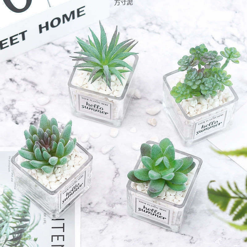 Ins Симулятор мясистых кактусов в горшках украшения