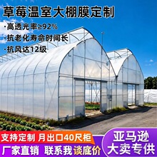 �羳���l�r�ø�͸�Ᵽ�ش���POĤ���ϻ���ݮ����Ĥ�������ϱ�Ĥ