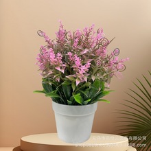 SֱNl羳GֲԺRС辰Ҿkb