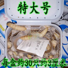 �������x�����x���x ���x �����x���w  �����B��ʳ�B��Ϟ�����x