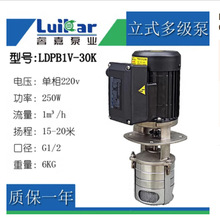 luikar睿嘉立式机床加工中心高压线切割油水泵LDPB1V-30K单相220V