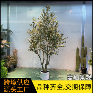 �羳����ֲ���ϙ��Ƶ��쾰�Ҿ��b��R�d���N���W�L���ϙ�����