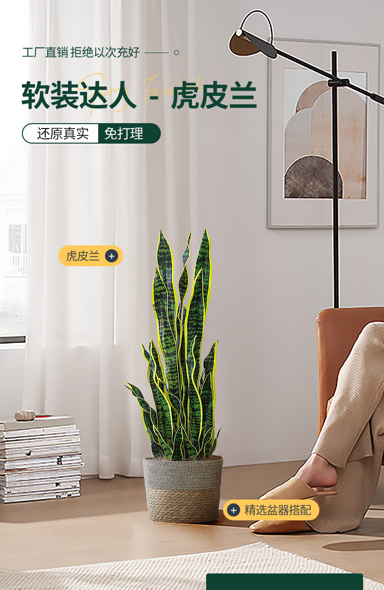 详情-01.jpg