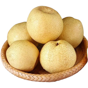 ���մXɽ����a��ֱ�l�������Ӱ��]���rˮ���Xɽ����һ�����l