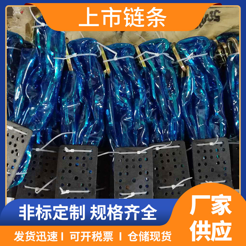 工业导轨尼龙齿轮圆环链 工业吊装圆环链条 提升机链导轨长环链条