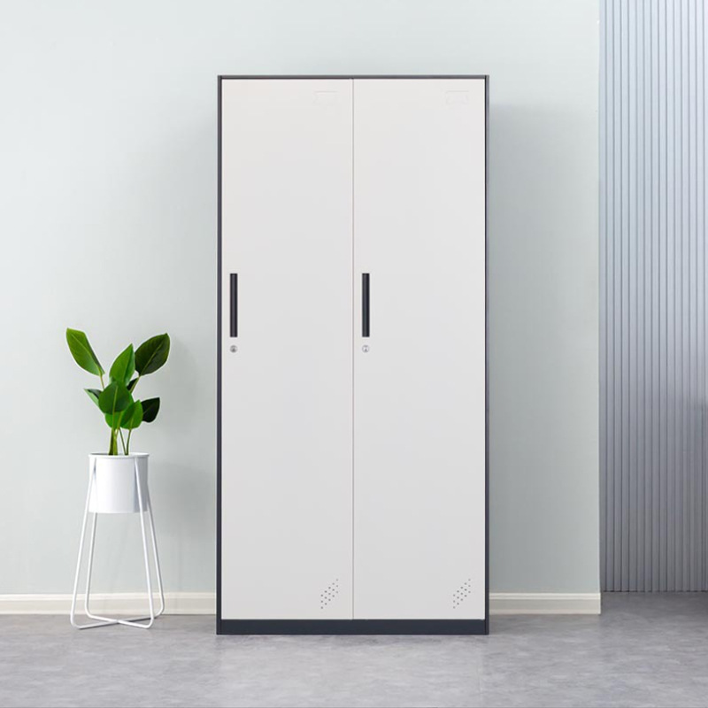 Fujian Customized Narrow-Sided Disassembly Cabinet Steel Locker Thickeneded Dormitory Staff Iron Wardrobe Multi-Door Locker